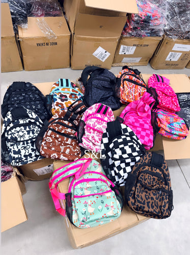 Backpack/crossbody (sent randomly)